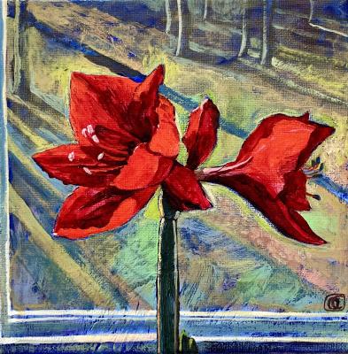 ������� �������� ������