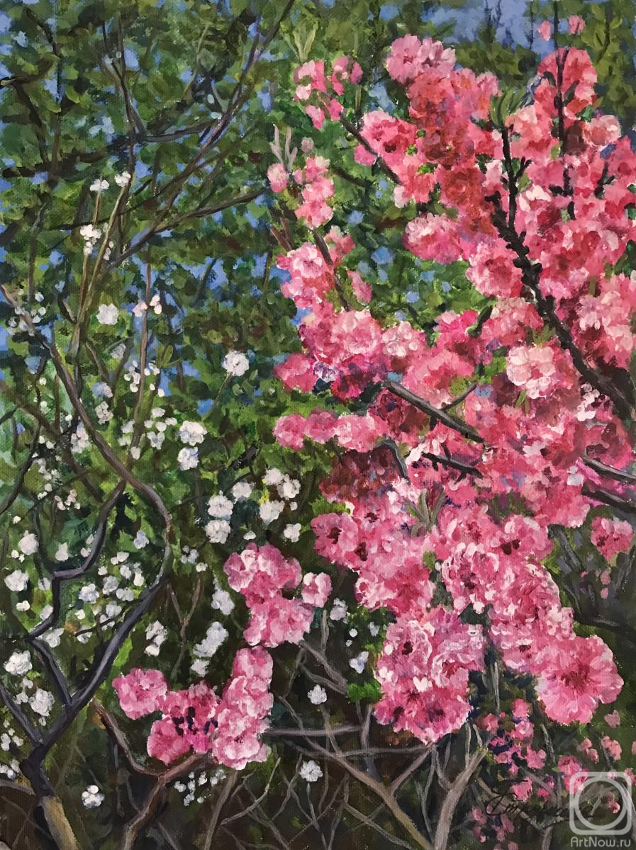 Strunina Galina. Untitled