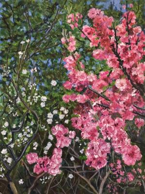 ������� ����� ���������