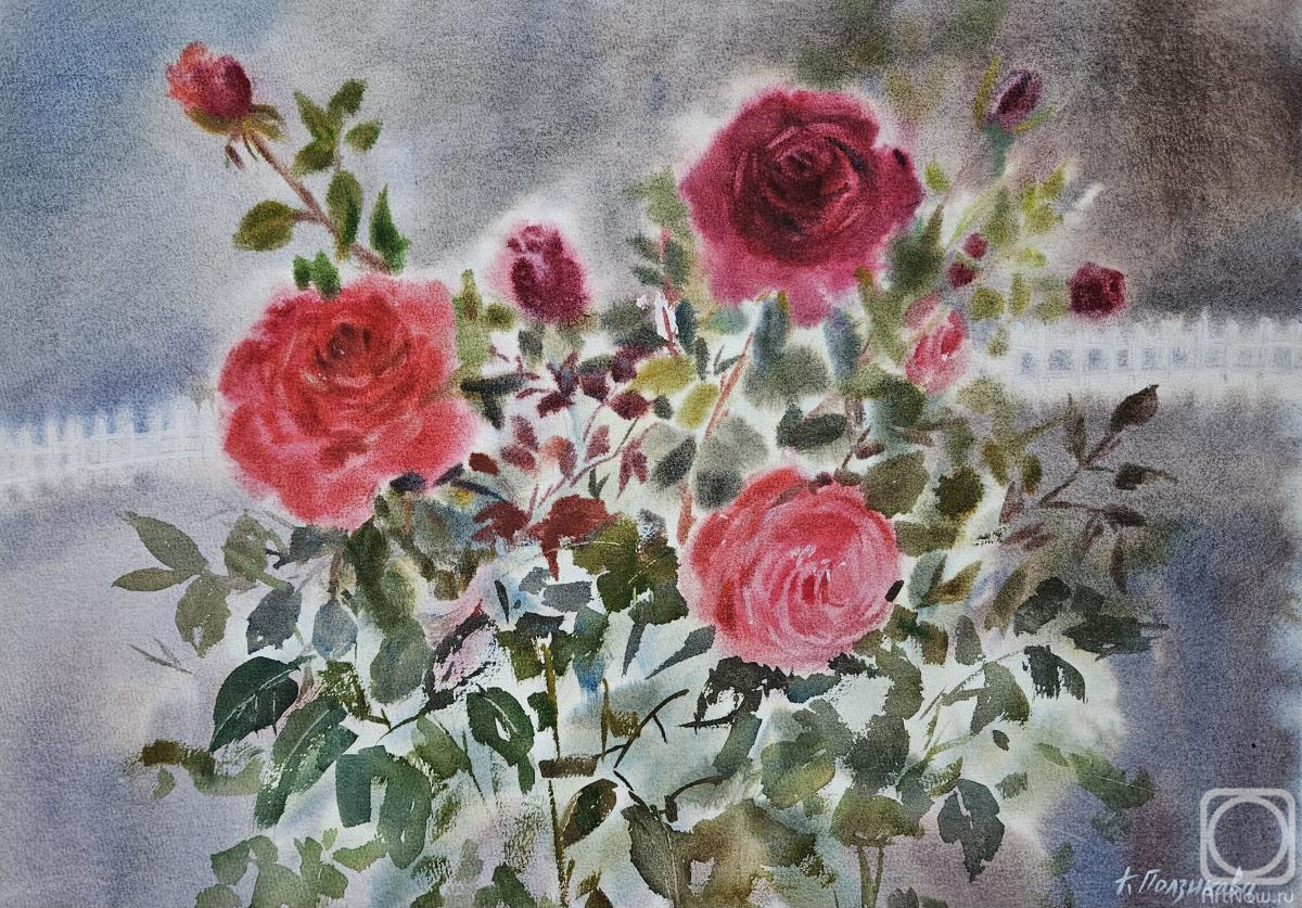 �������. ��������� ������. ������ ����