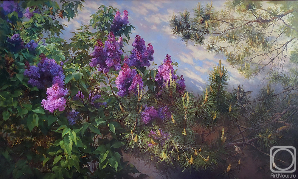 ������� ������ �� ������. �������� ������. ������ ��������� �����