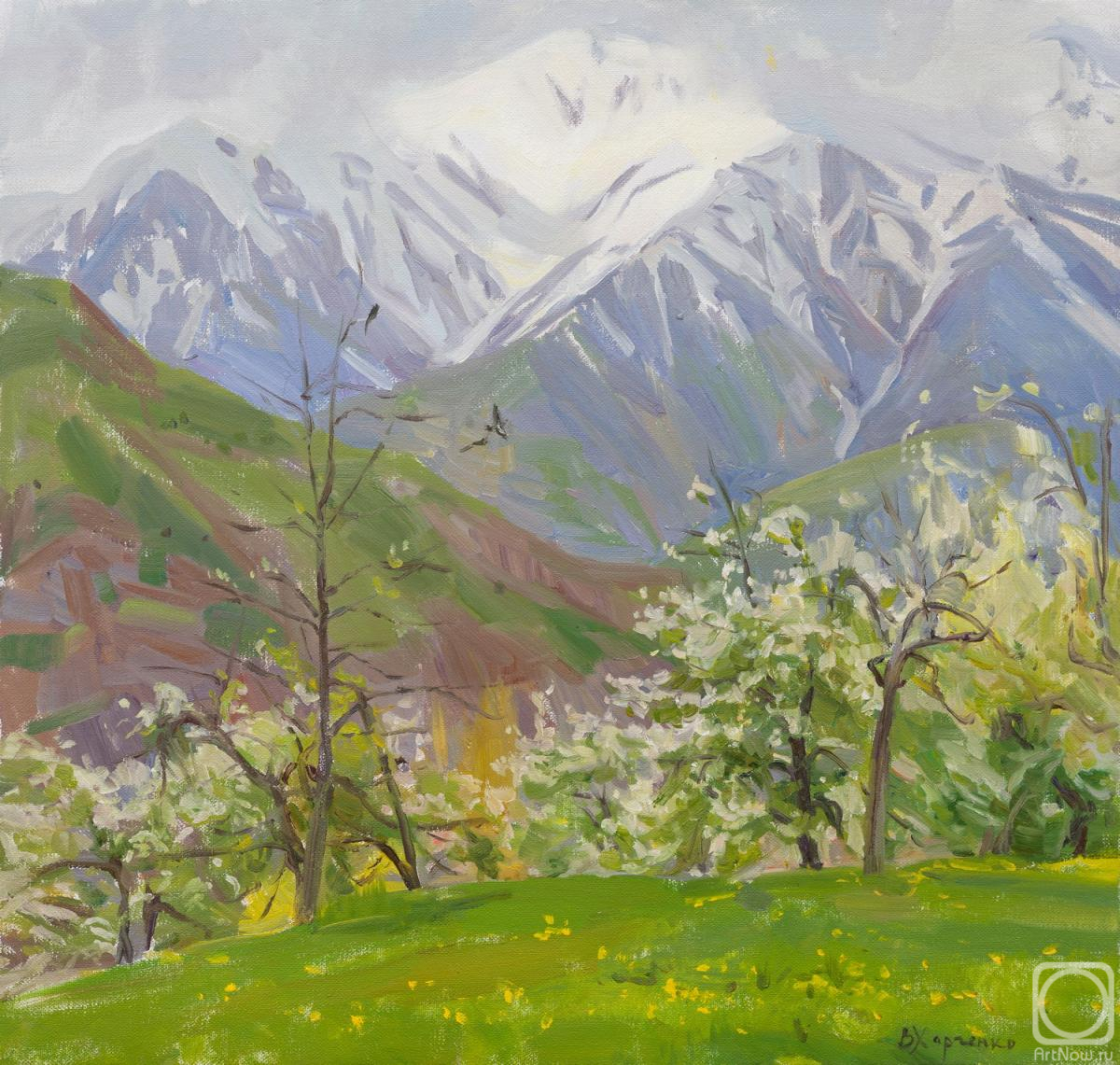 ������� ������ �� ������. �������� ��������. ������ � �����