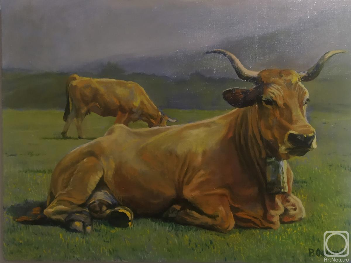 ������� ������ �� ������. ������ �����. ���������