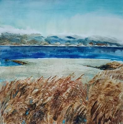 ����-���. ������ ��������