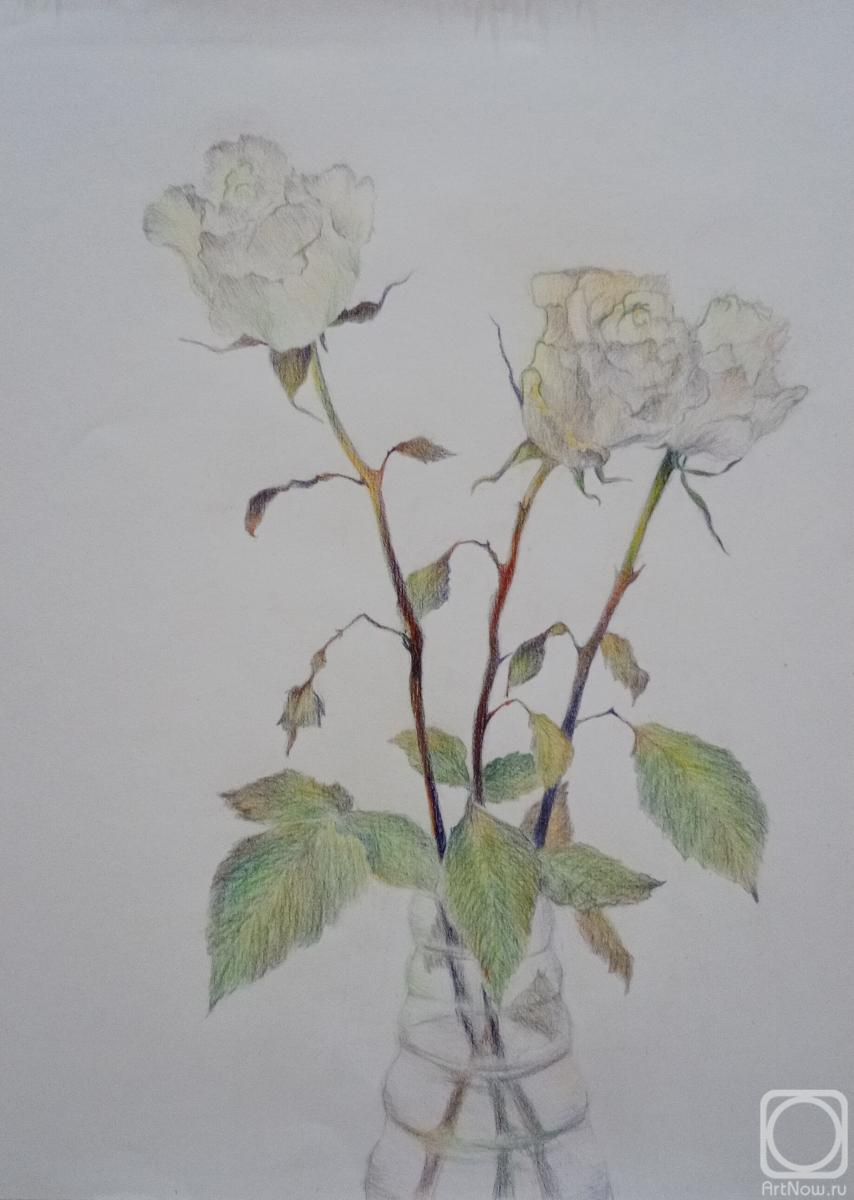 �������. ��������� �������. ����