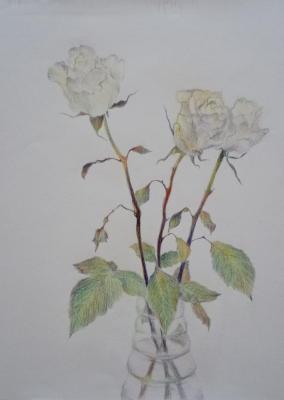 ���� (������� ��� ����������). ��������� �������