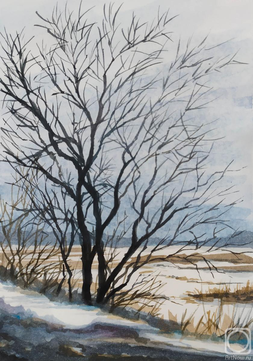 Novoselov Dmitriy. Untitled