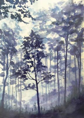 Untitled. Novoselov Dmitriy