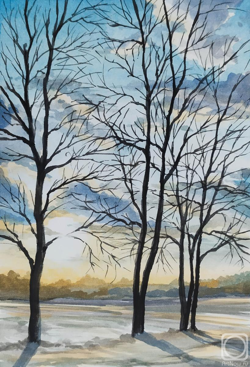 Novoselov Dmitriy. Untitled