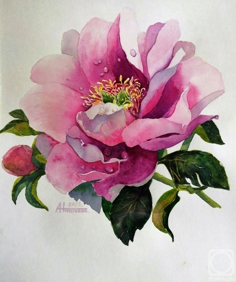 �������. ��������� �������. ����� ����