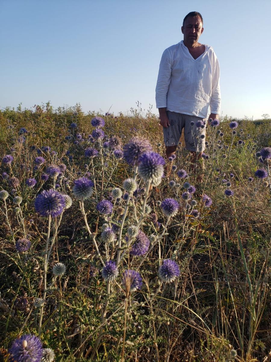 ������� ������