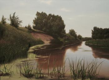 ������� �������� ����