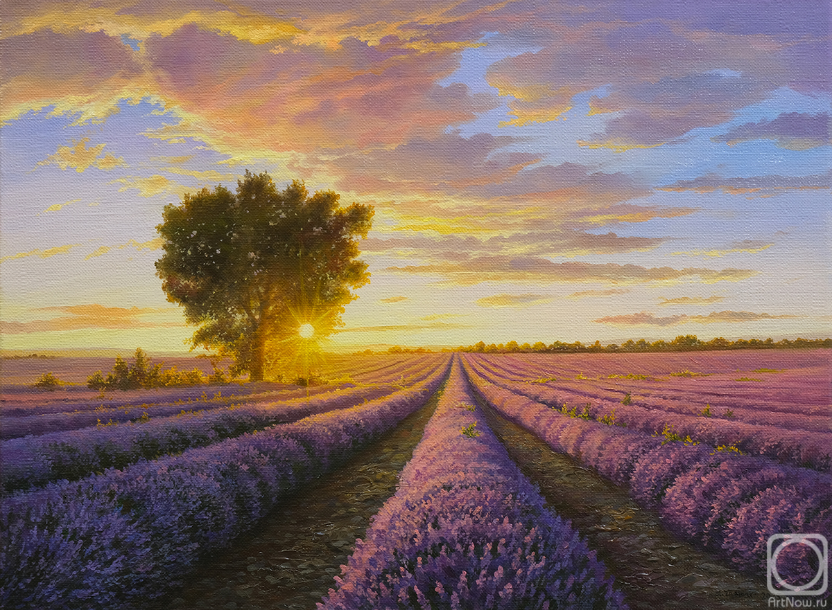 Zhaldak Edward. Vanilla sky