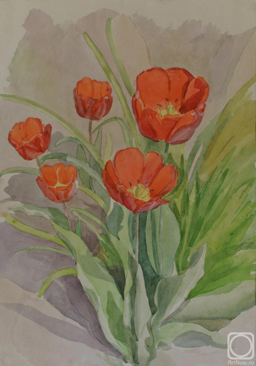 �������. ���������� �����. ��������. ����