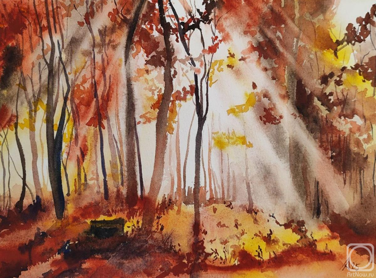 Lapina Albina. Untitled