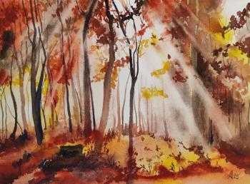 ������� ���. ������ �������