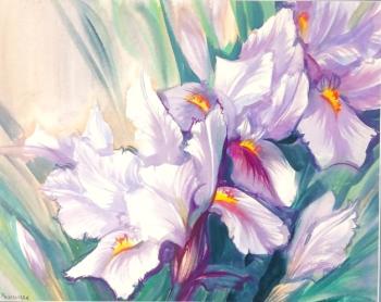 ����� ��������. ���������� ���������