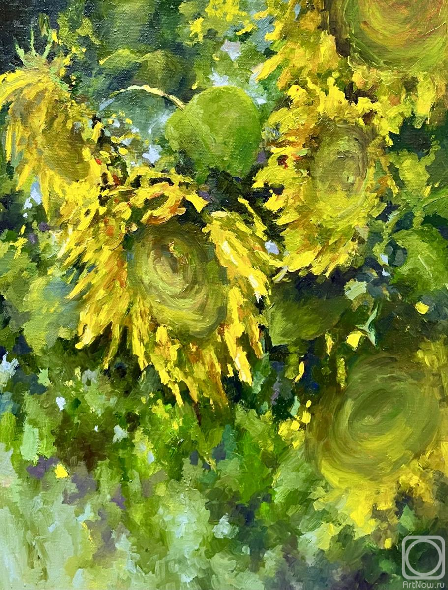 ������� ������ �� ������. ������ �����. ����������. ������ 24