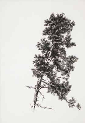 �����. �������� �����