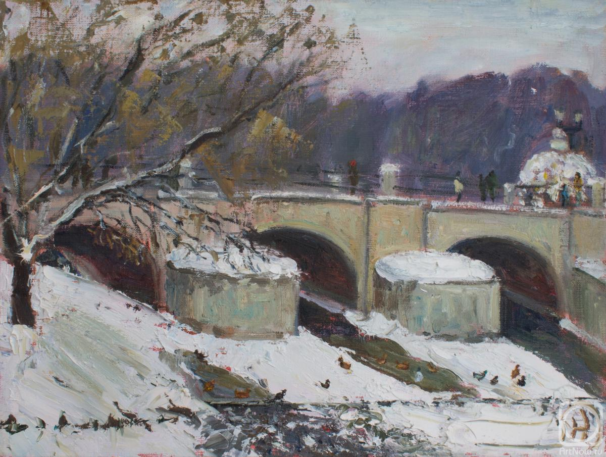 Nikiforenko Mariya. Tsaritsyno. December