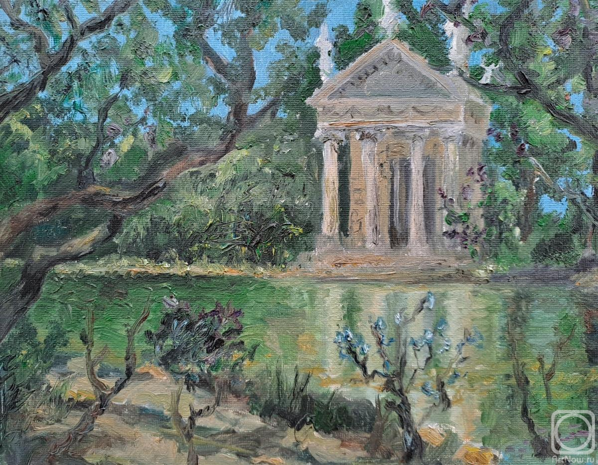 �������. ���������� ����. ��������