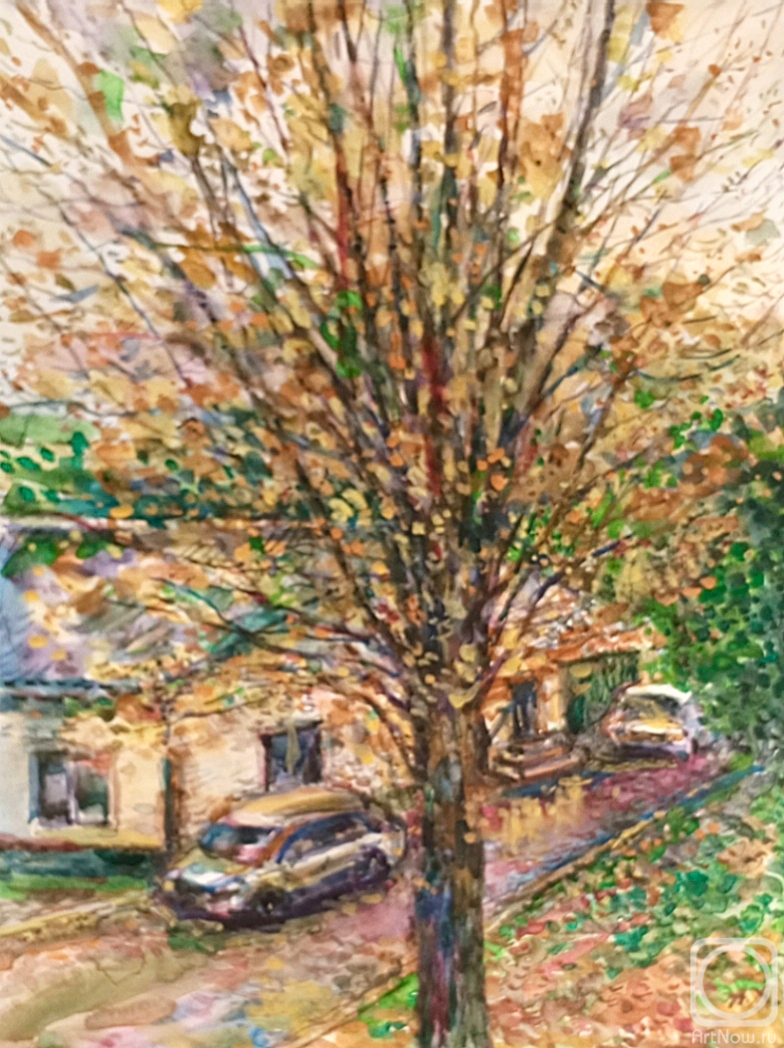 �������. ������� ���������. ������ �� ���� ������