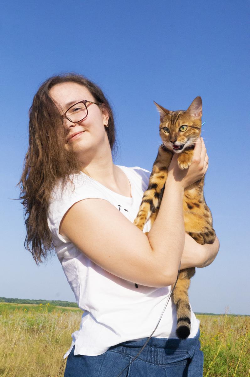 ������� ��������� ����������