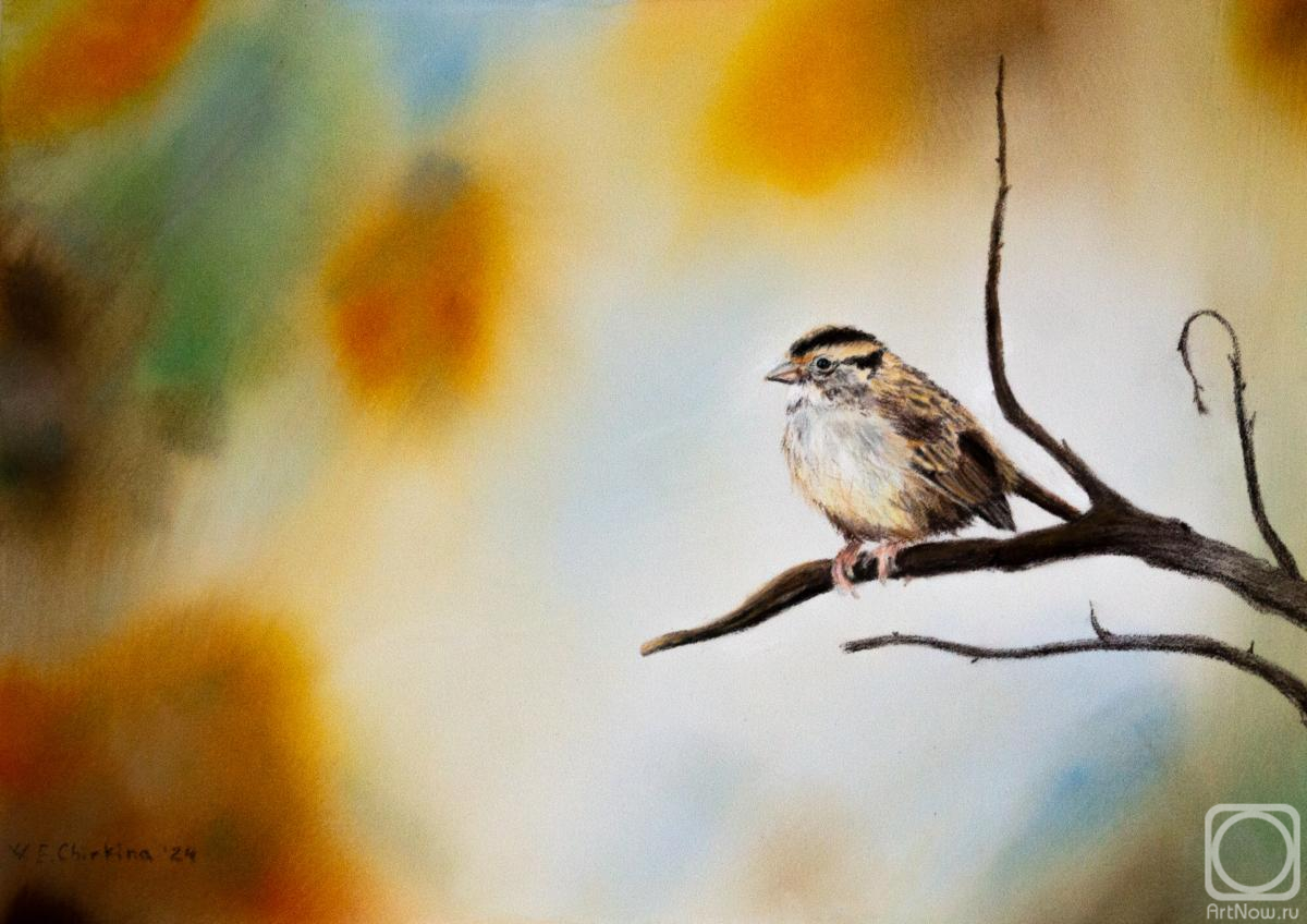 �������. ������� ���������. �������, ��� �������