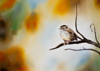 �������, ��� �������...