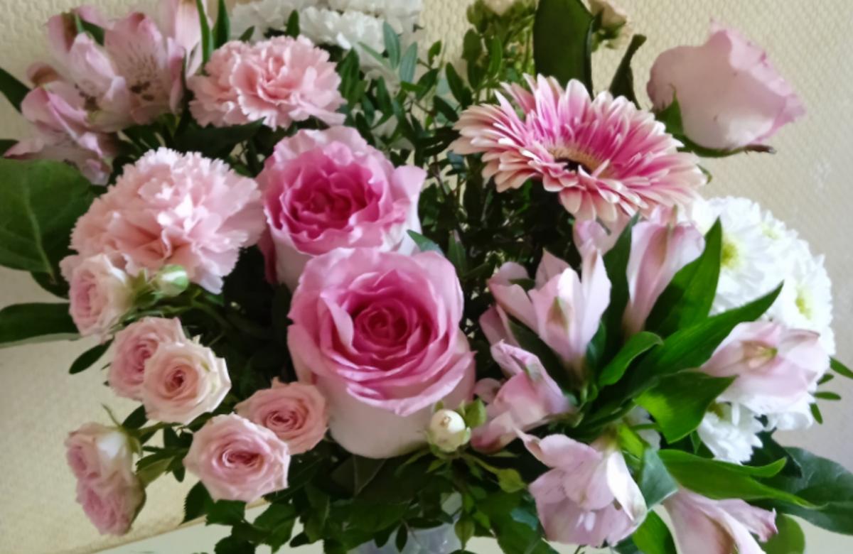 ��������� ���� ��������