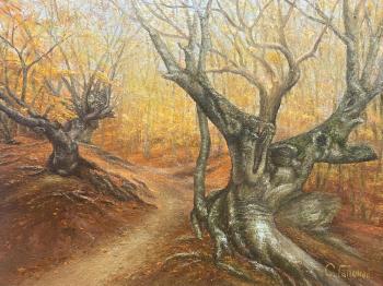 In the autumn forest 3