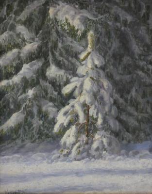 ������ ����� ����. ��������� ���������