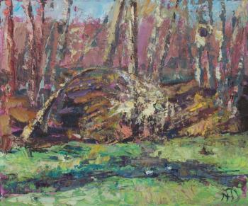 An autumn day on the pond