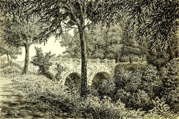 ������� ������� � �������