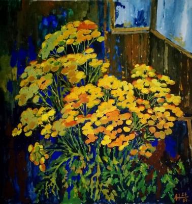 ������� ��� ������ �������