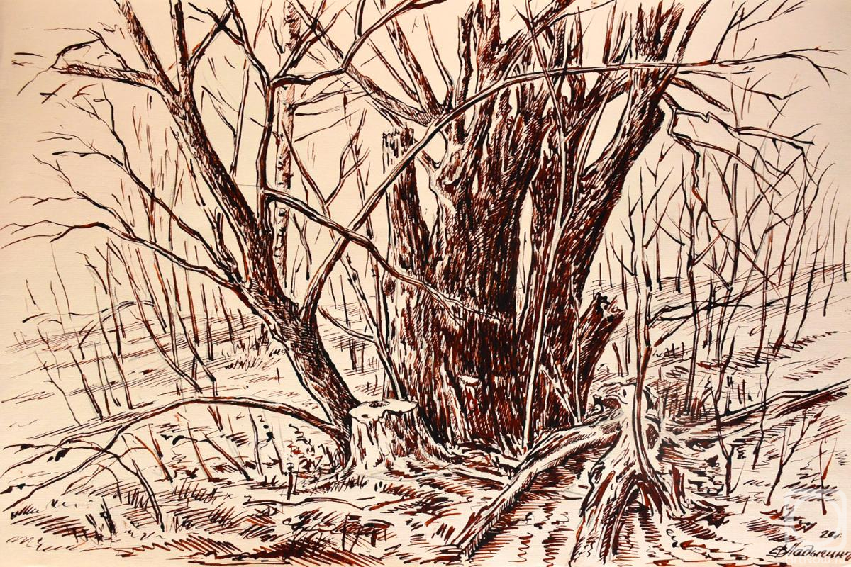 �������. ������� �������. ������. ���������� ����