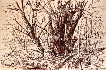 ������� �������. ���������� ����