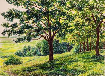 ������� ���������� ����