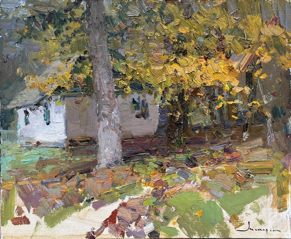 Makarov Vitaly. Autumn sketch with a house