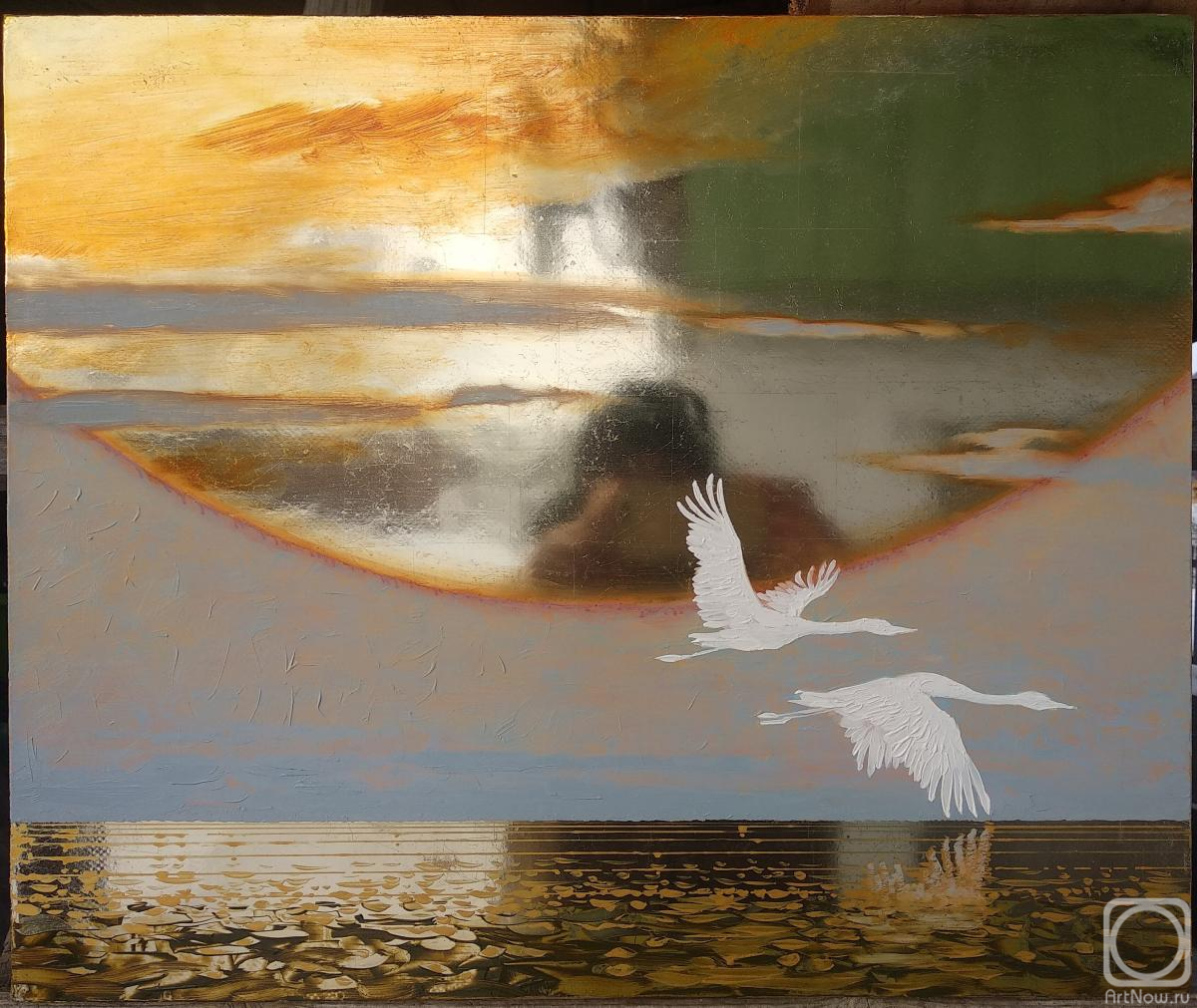 Us Dmitry. White Birds