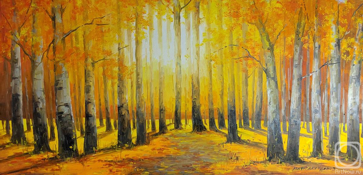 �������. ������������� �����. ��������� ����, �����