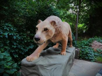 �������� ���