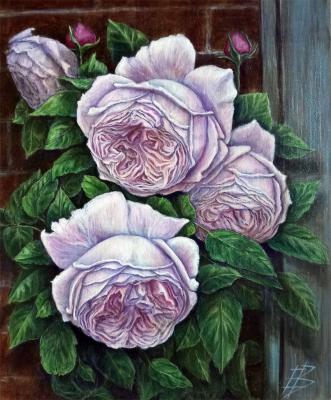 ������� ����� � ������� ����