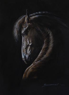 ��� �������