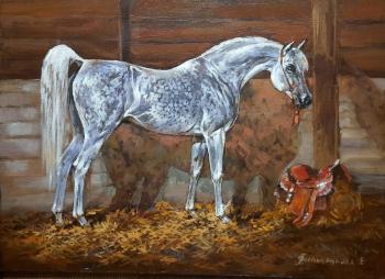 ����� ����������