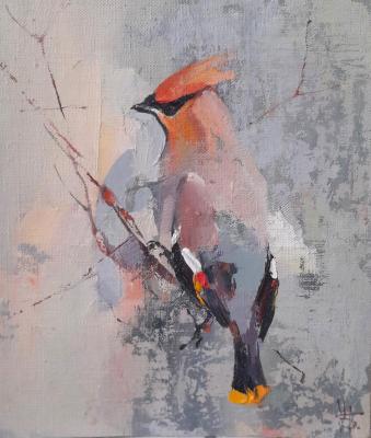 ����������. �������� �������