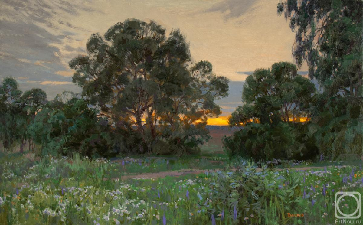 Pleshkov Aleksey. Untitled