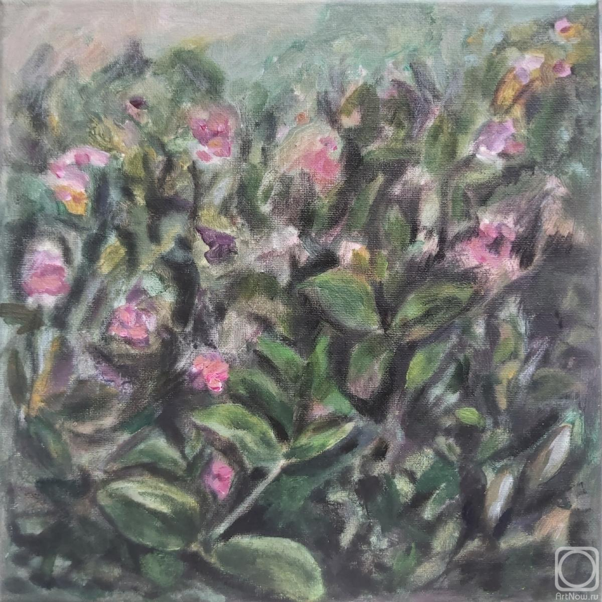 Kolomashkina Anastasiya. Untitled