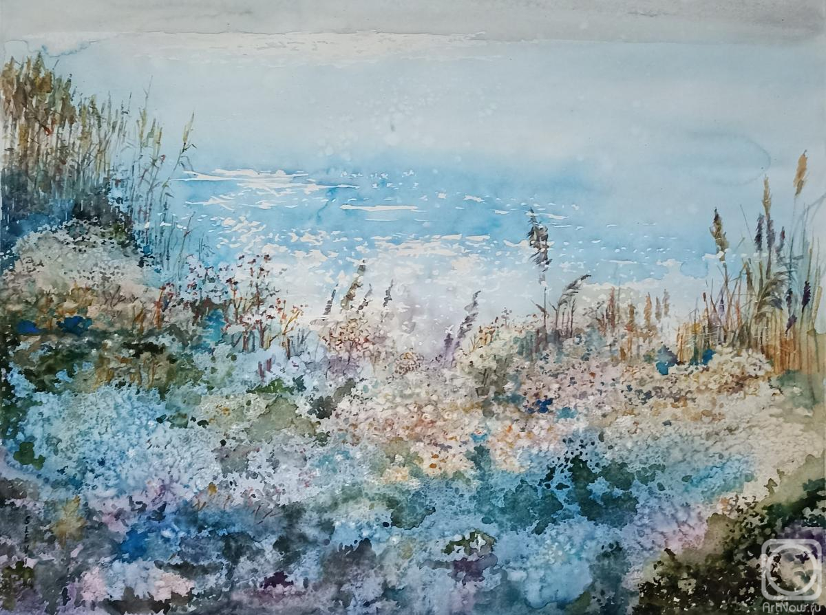 �������. ������ ��������. ���������� ����