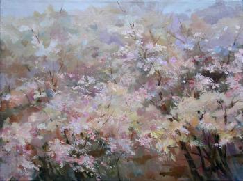 ������� �������� ��� � �����